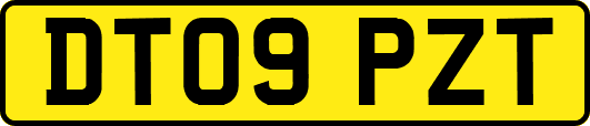 DT09PZT