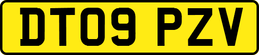 DT09PZV
