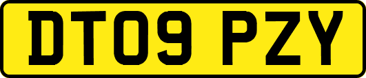 DT09PZY