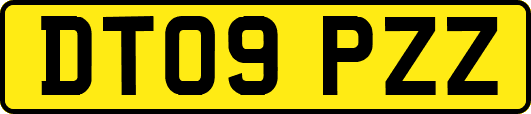 DT09PZZ