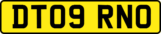 DT09RNO