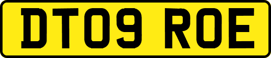 DT09ROE