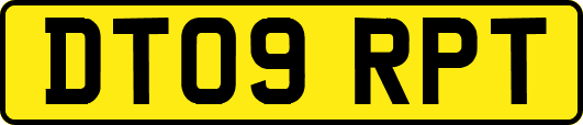 DT09RPT