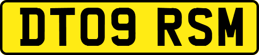 DT09RSM