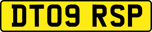 DT09RSP