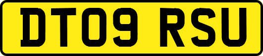 DT09RSU