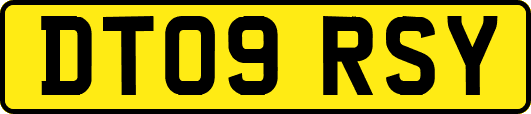 DT09RSY