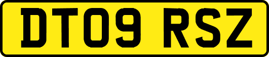 DT09RSZ