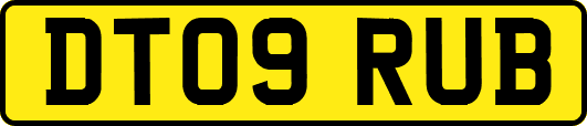 DT09RUB