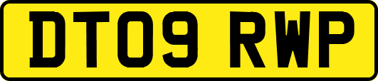 DT09RWP