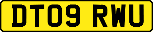 DT09RWU