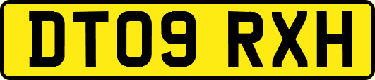 DT09RXH