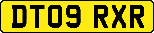 DT09RXR