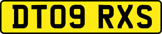 DT09RXS