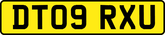 DT09RXU