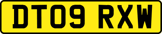 DT09RXW