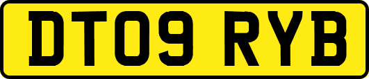 DT09RYB