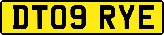 DT09RYE