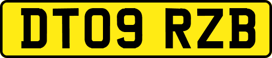 DT09RZB