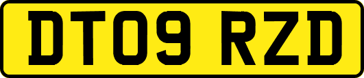 DT09RZD