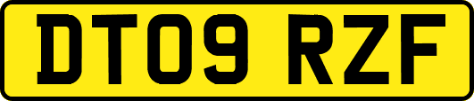 DT09RZF