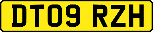 DT09RZH