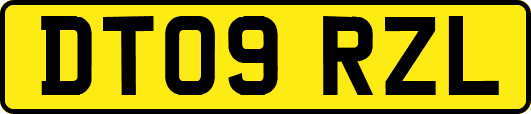 DT09RZL