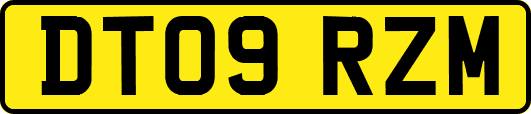 DT09RZM
