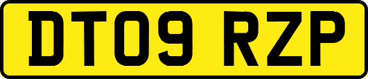 DT09RZP