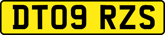 DT09RZS