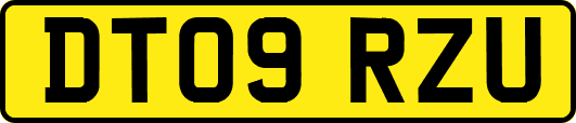 DT09RZU