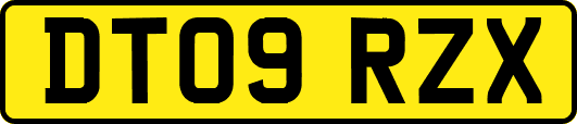 DT09RZX