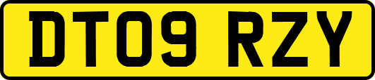 DT09RZY