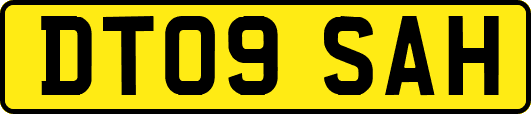 DT09SAH