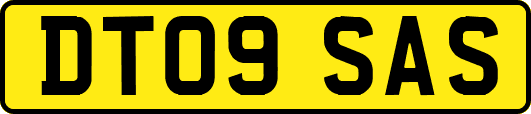 DT09SAS