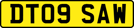 DT09SAW