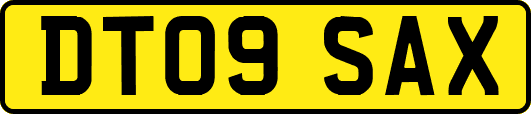 DT09SAX