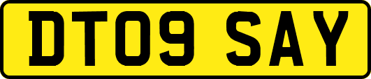 DT09SAY