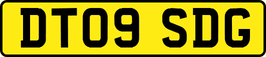 DT09SDG