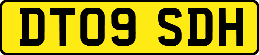 DT09SDH
