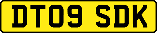 DT09SDK