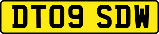 DT09SDW