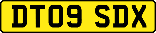 DT09SDX