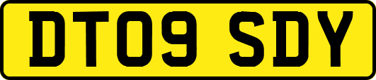 DT09SDY