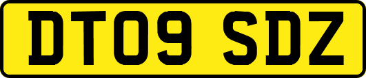 DT09SDZ