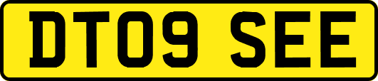 DT09SEE