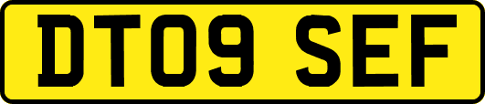 DT09SEF