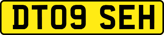 DT09SEH