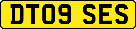 DT09SES