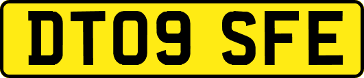 DT09SFE